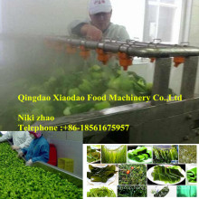 Blanching Machine Vegetable Blancher Seaweed Blanching Machine